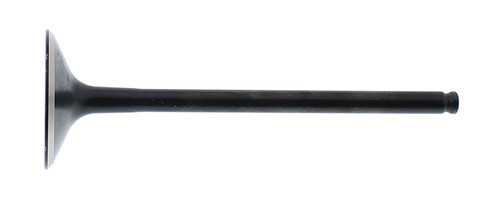 Photo - Primary